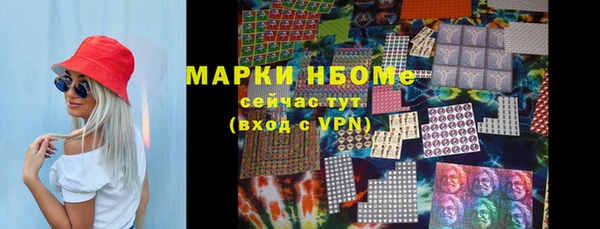 индика Баксан